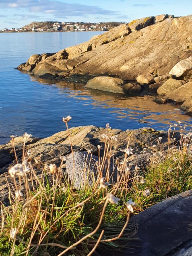 Skaergardsidyll Pa Bjoerkoe Med Gangavstand Till Havet Skarvik 외부 사진
